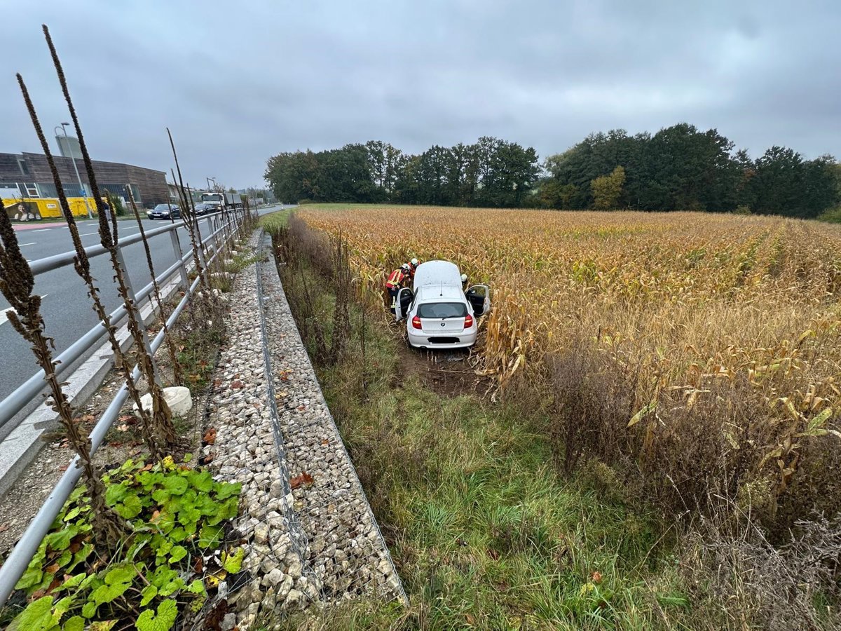 IMG-20241018-WA0008 bearbeitet.jpg